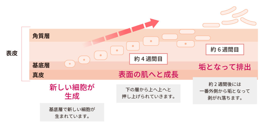 まずは土台作りから(ハイドロピーリング)